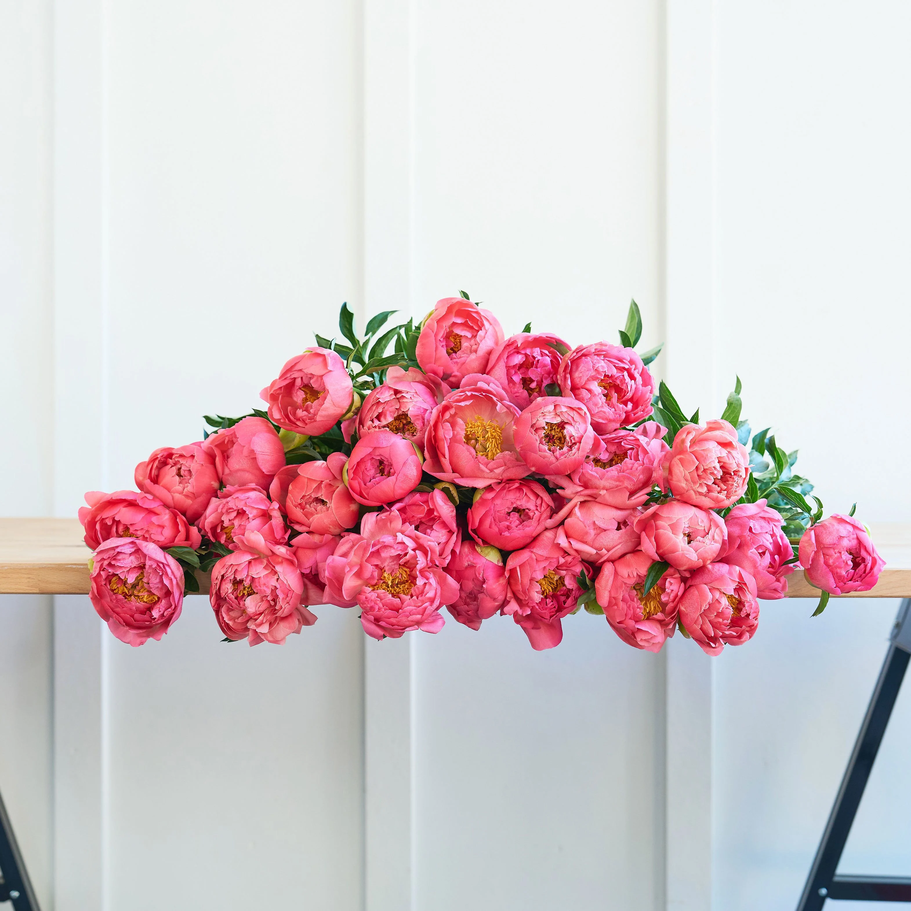 An Abundance of Peonies!