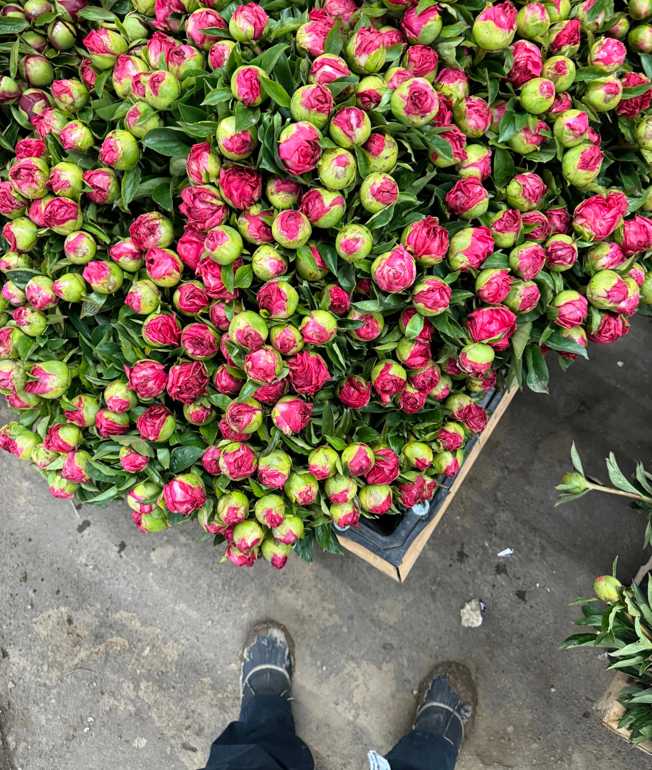 Behind The Scenes: On The (Flower) Floor During Farmgirl’s Peak Holidays!